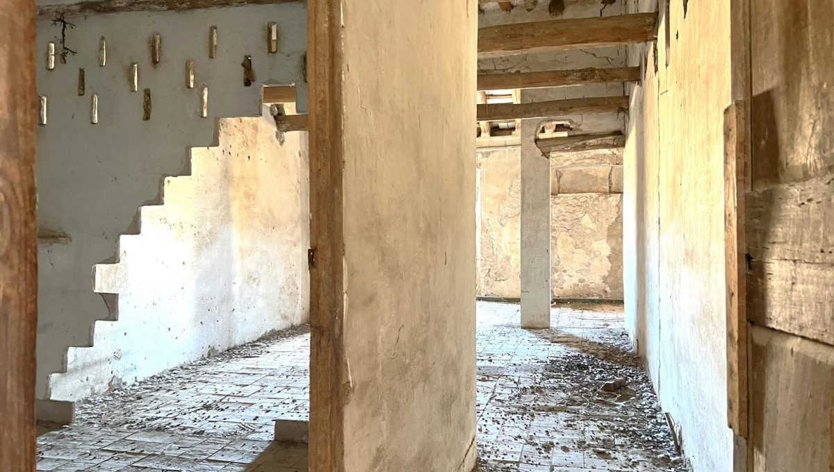 955108966_516dc2e9d61348d617ea4ce9f058e6d0