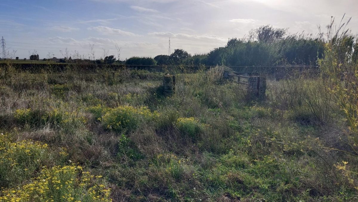 183146231_2d2da5969fa780c8798d9fb8a09665c1