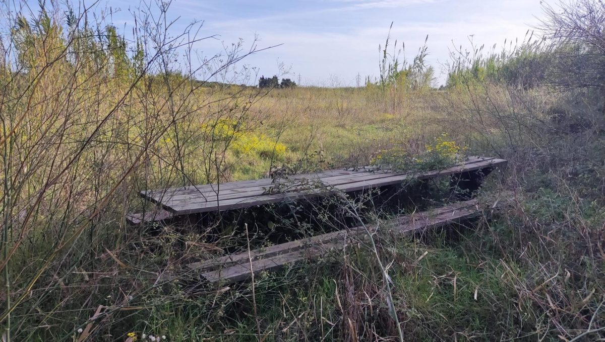 183146231_2ffd5558dae5a59157bdafc12e7ad0d6