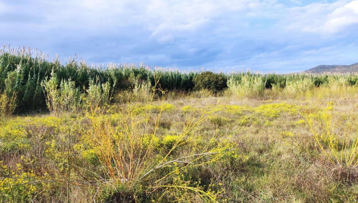 183146231_3eb818af46d1d1da729e12fb52a02ade