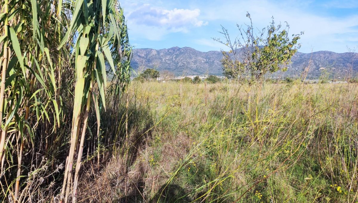 183146231_45e5ce7f9841d639e0ccf79535cd73d3