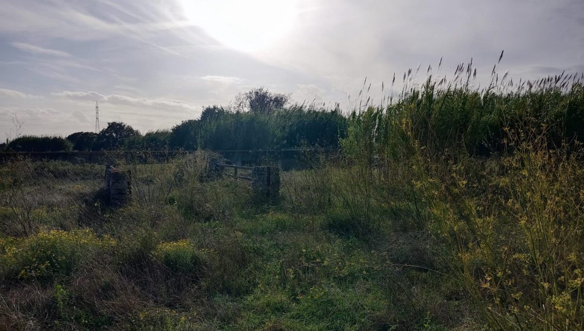 183146231_54709ce3cc8dcc95560ca5f84d501579