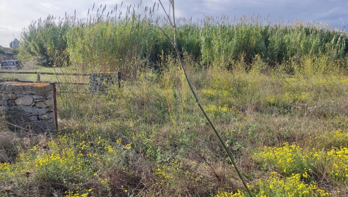 183146231_58e01c1f8dbedd5bf6af144bb09c723c