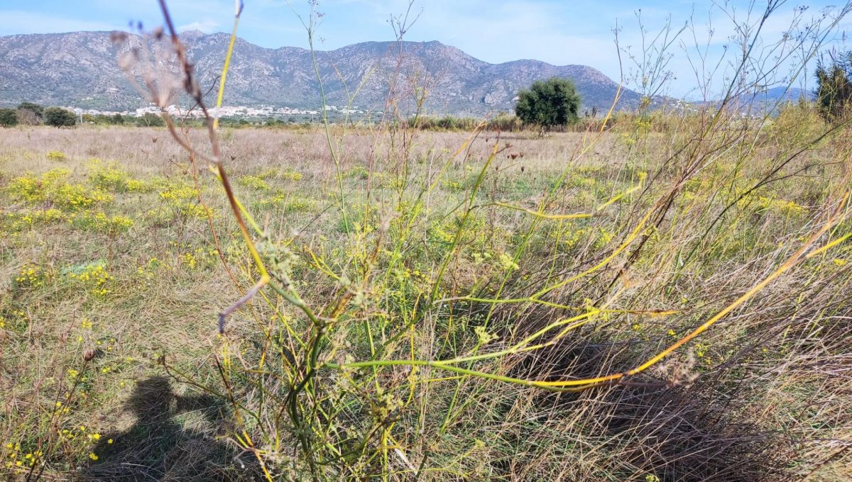 183146231_5b1542596b867fbbfba69a62ff756bca