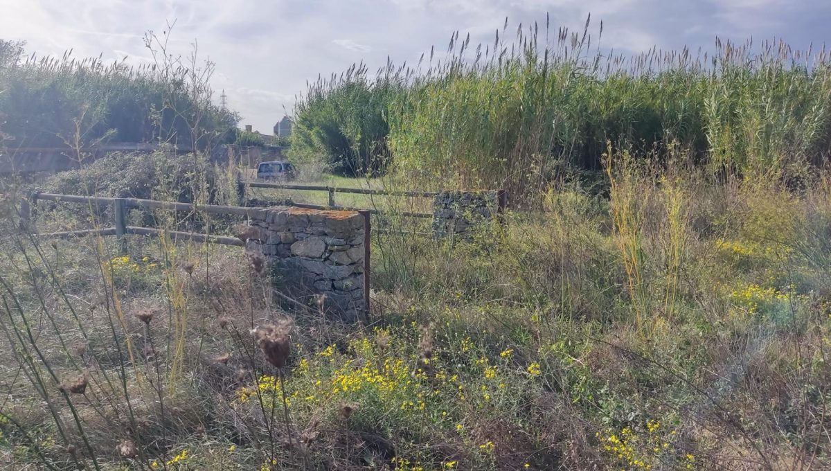 183146231_9fd2c02a2afbb6e8ec7593fafbdca68a