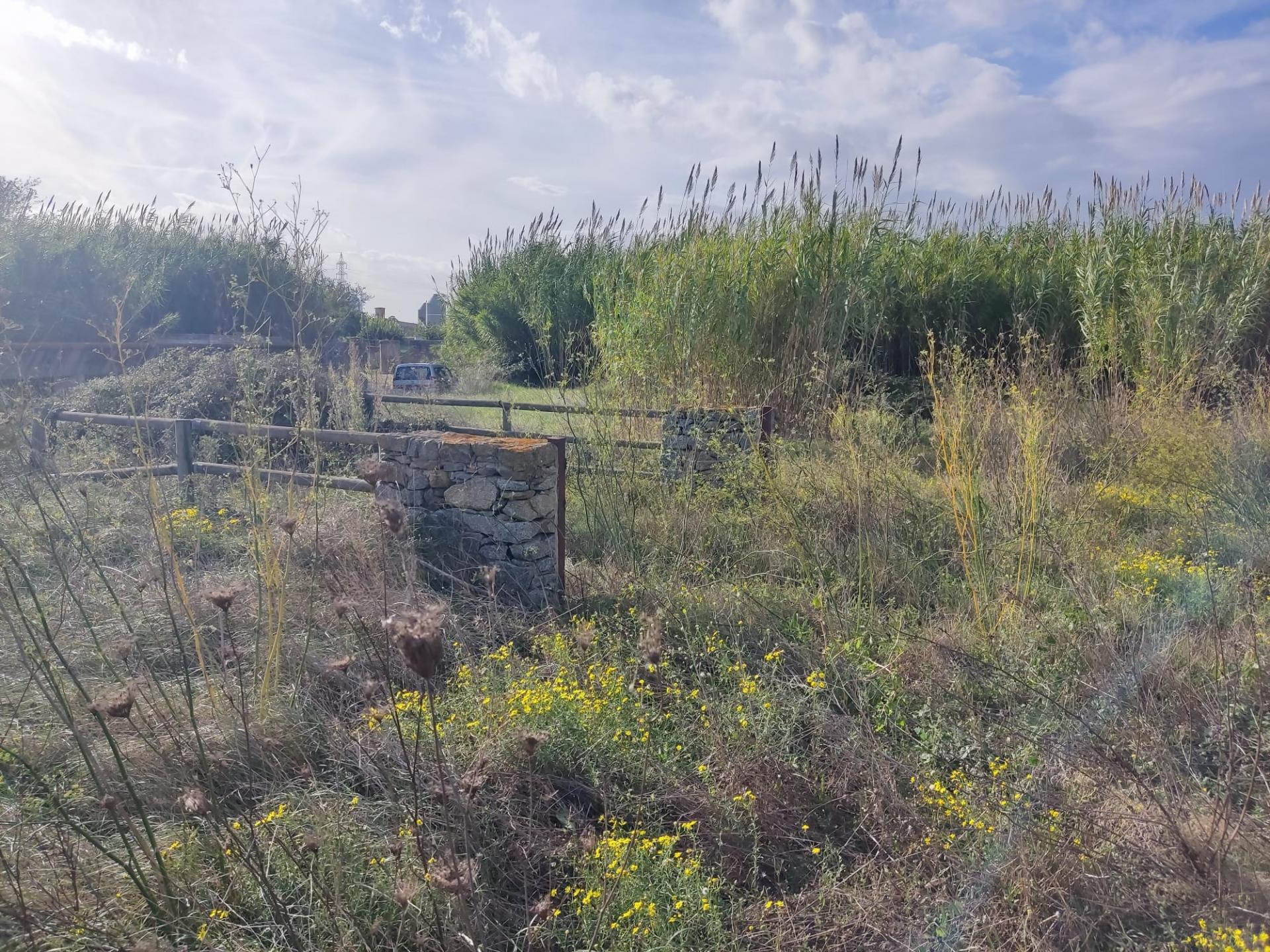 Gran terreno para plantar viñedos.