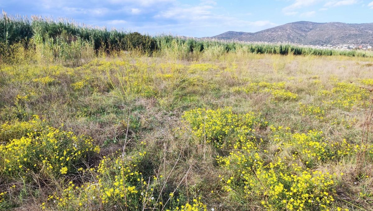 183146231_e02d69a2fd2be6ff606d532ab0d2eefc