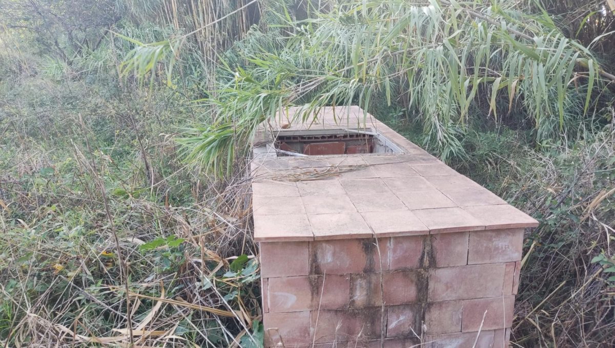 183146231_e6c8df89d2bac03b5ffda4dcd25ff661