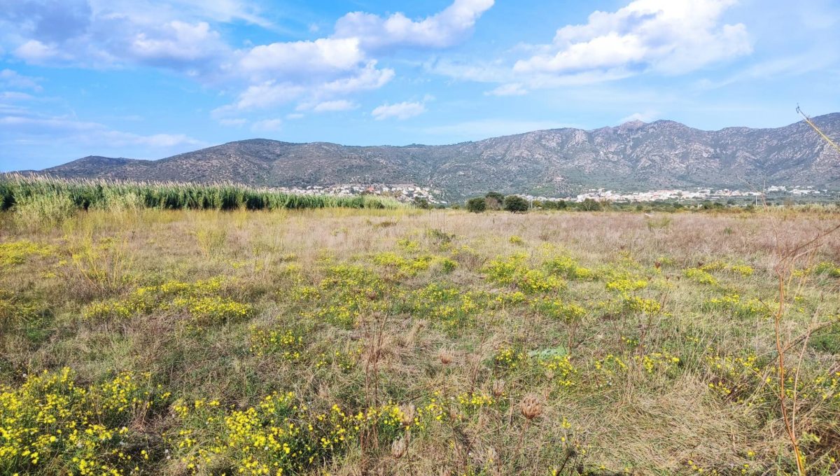 183146231_f4ec02bbe5e8f7b6736ae25e5a3a33f2