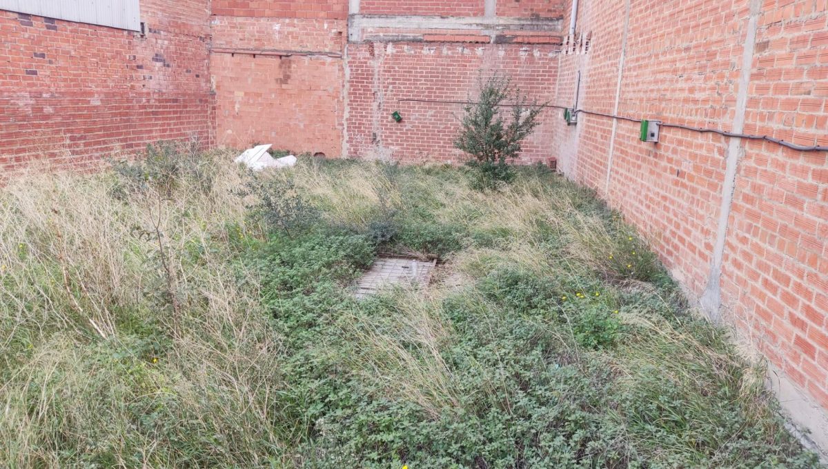 490369452_33f2532531c684ddbad49d09fbbe442e