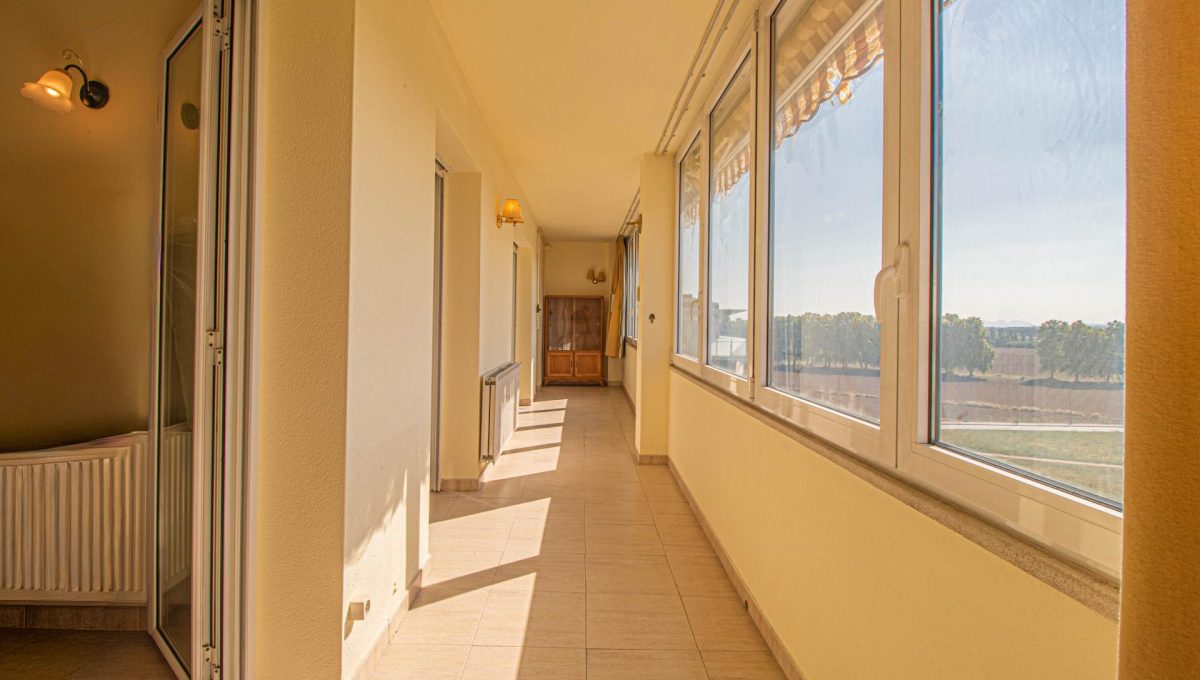 560311301_e5236b558923d8e58a4cdf9b471985cd