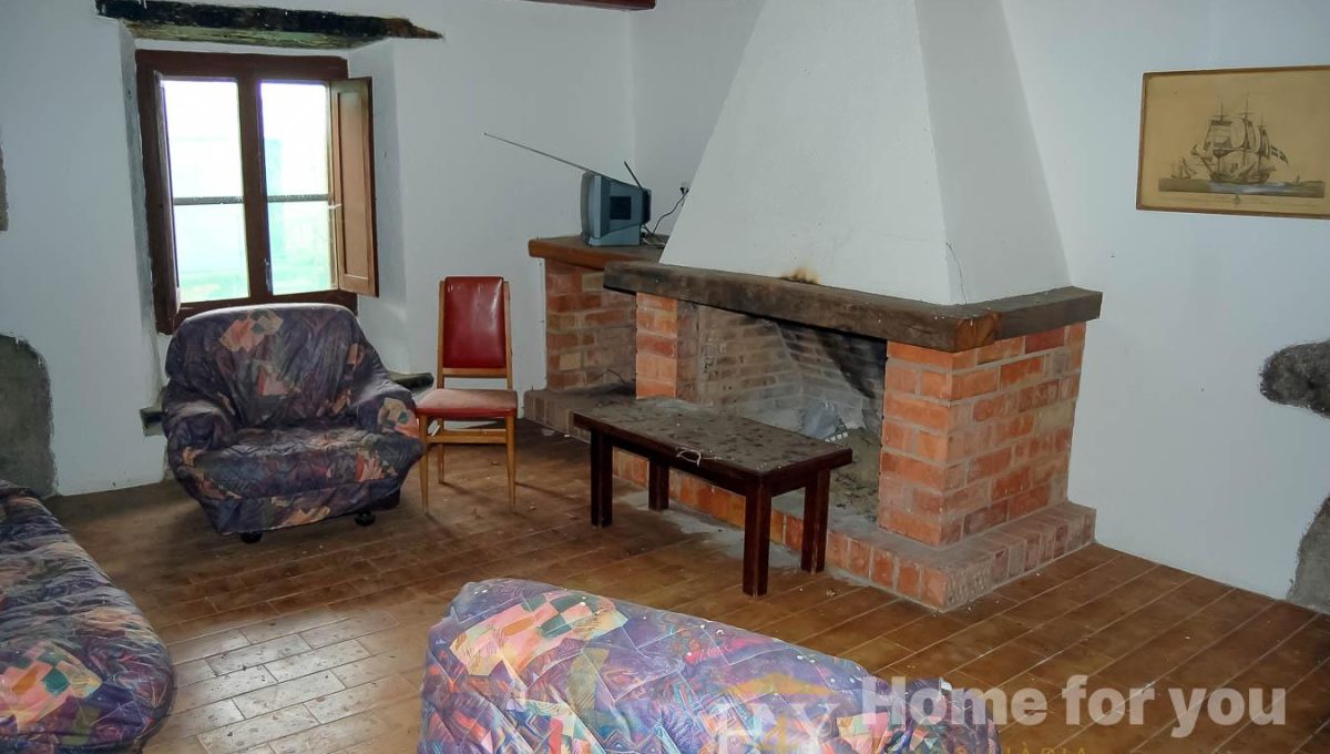 872474362_04f507e3bcbafbab09983c055c772e28