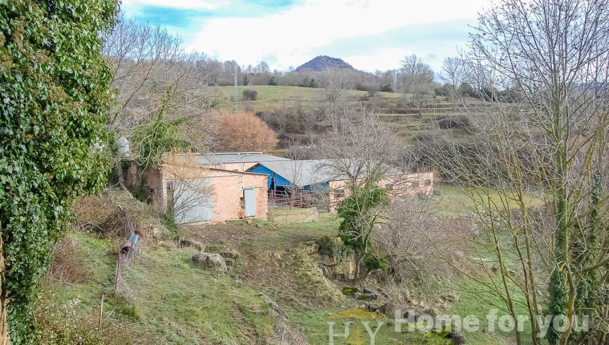 872474362_0d544ad5fc6af1464d71f165015db9c0