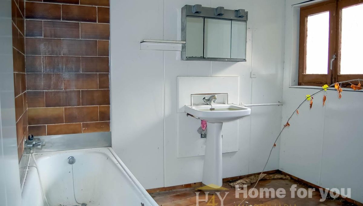 872474362_3361307a224ecaae1bf3ce3a7887daff