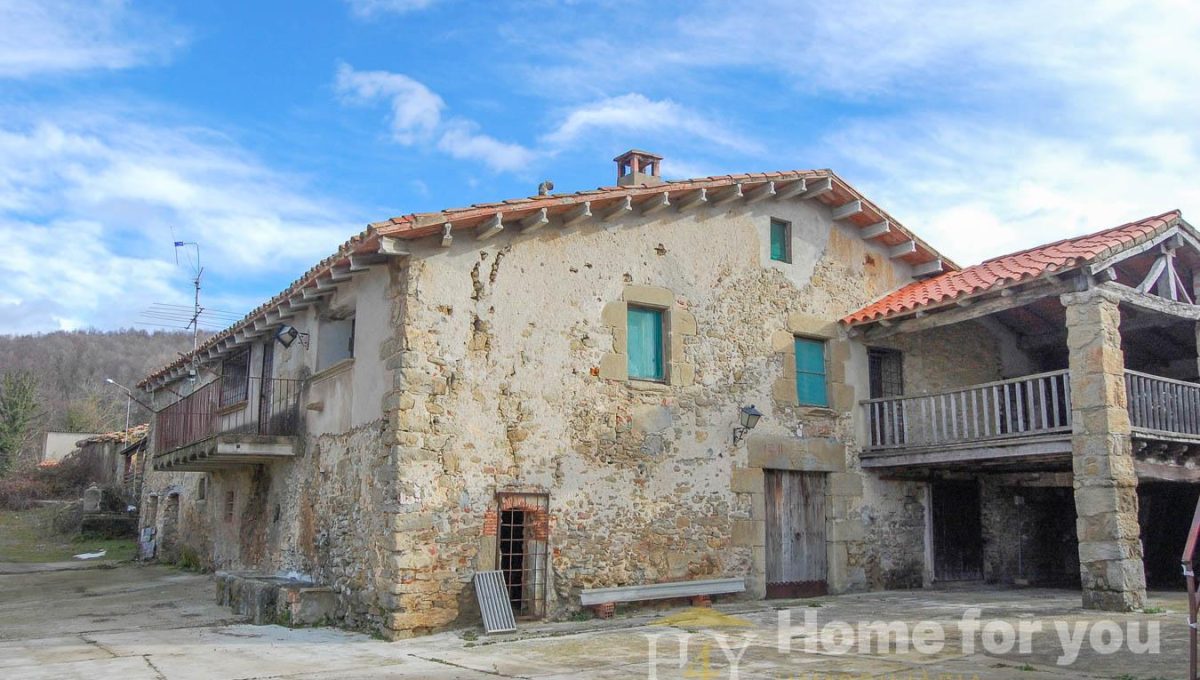 872474362_48238a99f1d32f096a1c17046c66f565