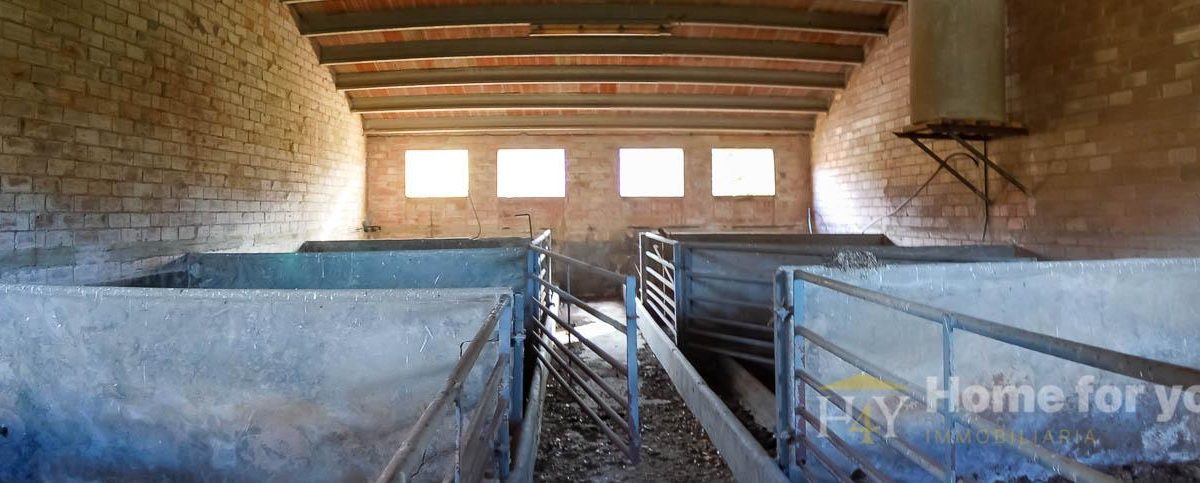 872474362_497ca4c41e264078e7b805e124fad337