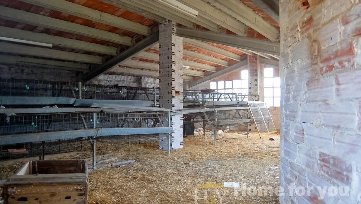 872474362_5c4592ad0e9fc069449ecd9eef8dd106