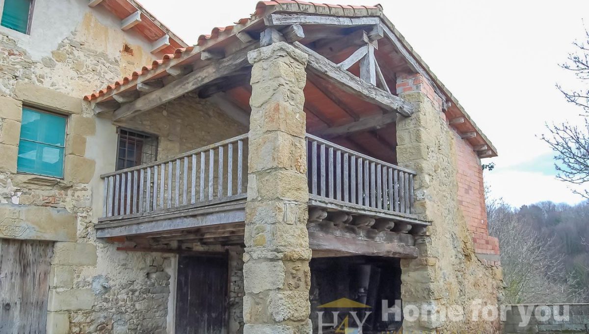 872474362_97cec63193505b171a6e25477d3b252e