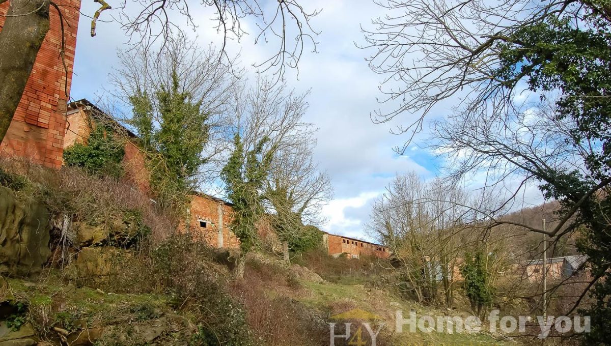 872474362_b4ae7a1ff666160d96ab73d51a95b218