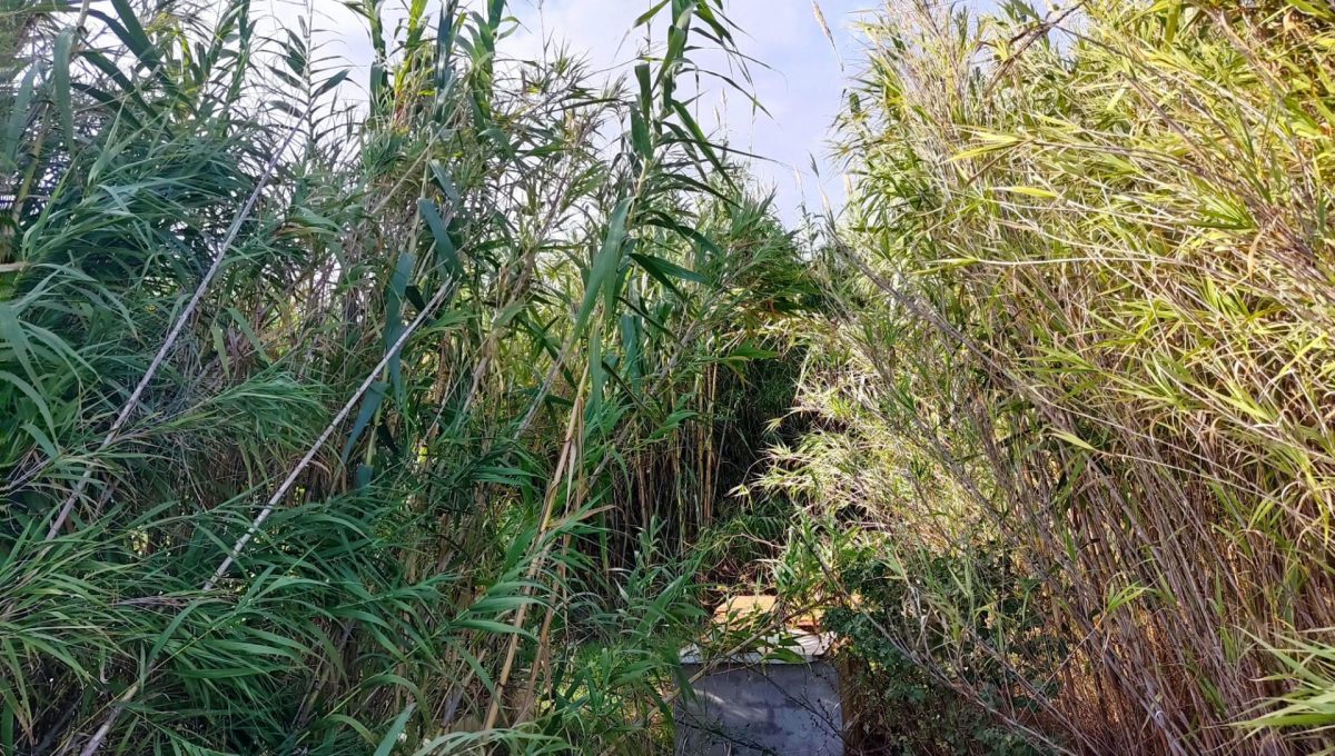 225242172_60672578f89b7c6494b8a0207aad81bd