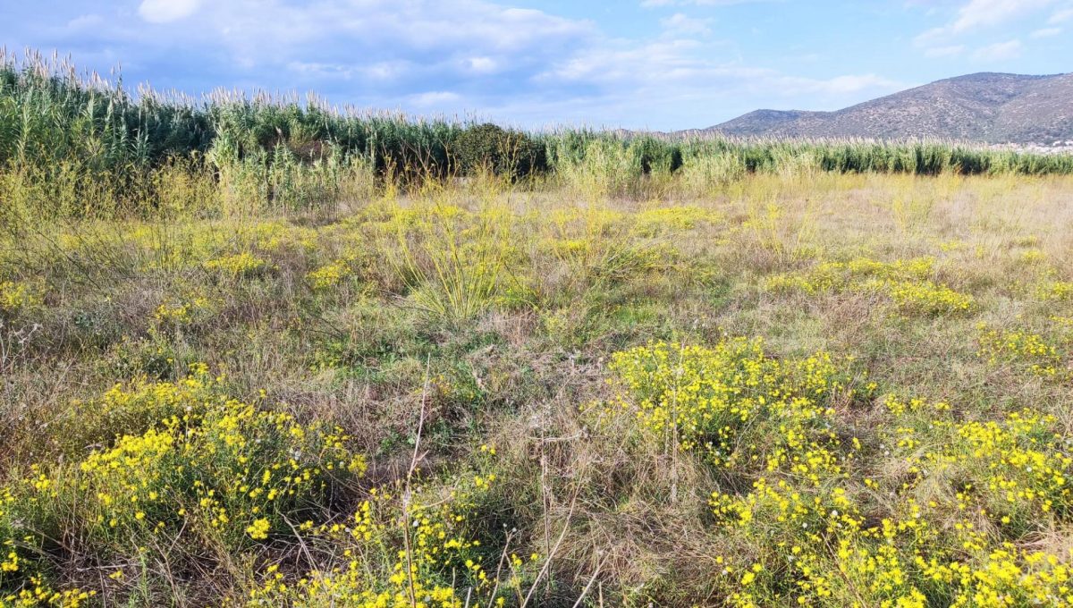 225242172_c2e6858b85d07d79aa57052163908138