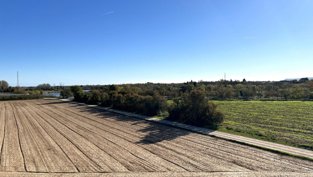 897474316_2f3f930dd16265a09c1e4b4b5bc624be