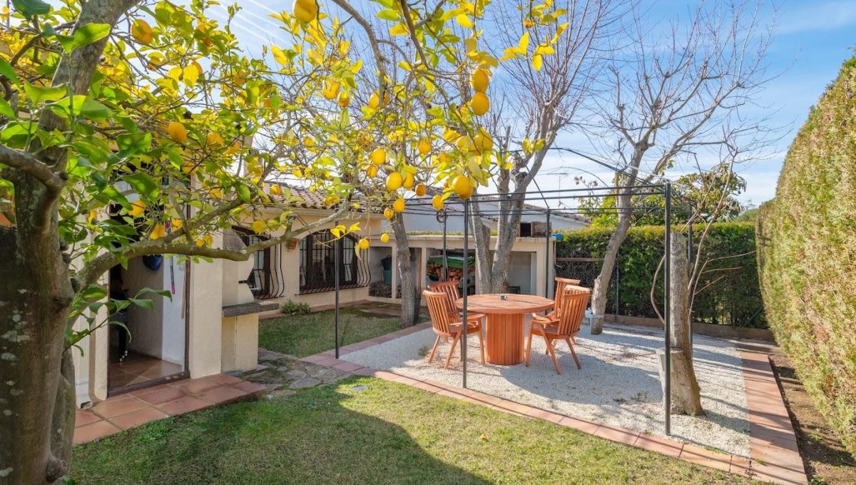 196141645_aae9f7fae8b5ec1499cc5d55ec6cb95c