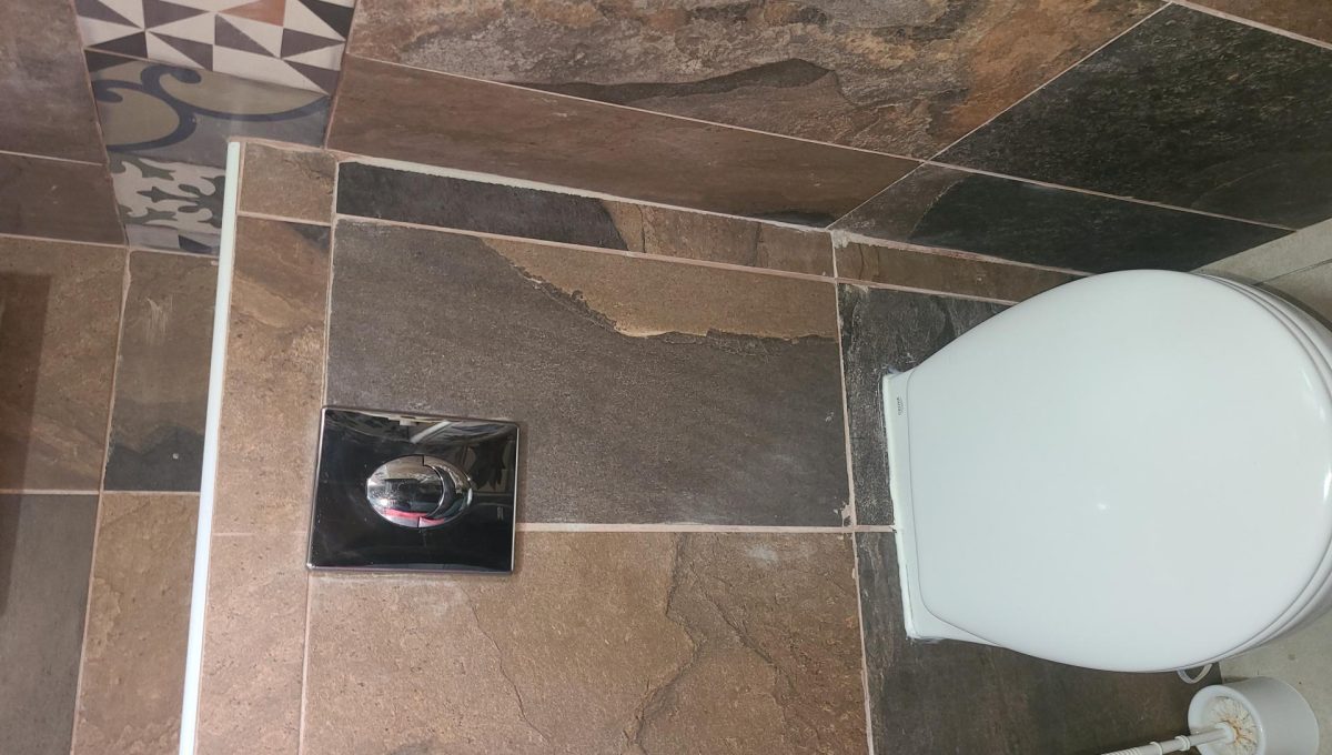 359032891_74de14826a518ed8d5b920b383c1315f