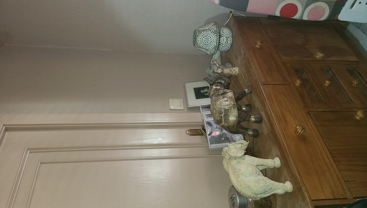 359032891_c028917005adb878b0b92ee3cb6c5d17