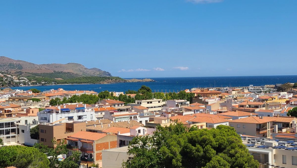 449504679_49c349c8924e9c7d38080eaacb90d60c