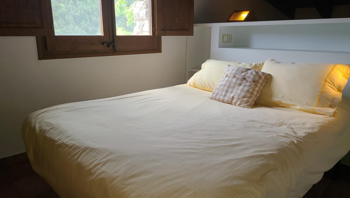 733404288_390225c12b997fb3ee28bd4c72ac50e9