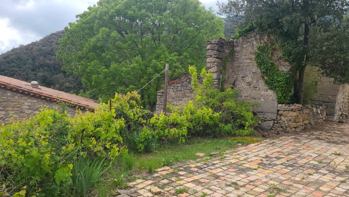 733404288_39d42686a4830e008a697f4c585a94a0