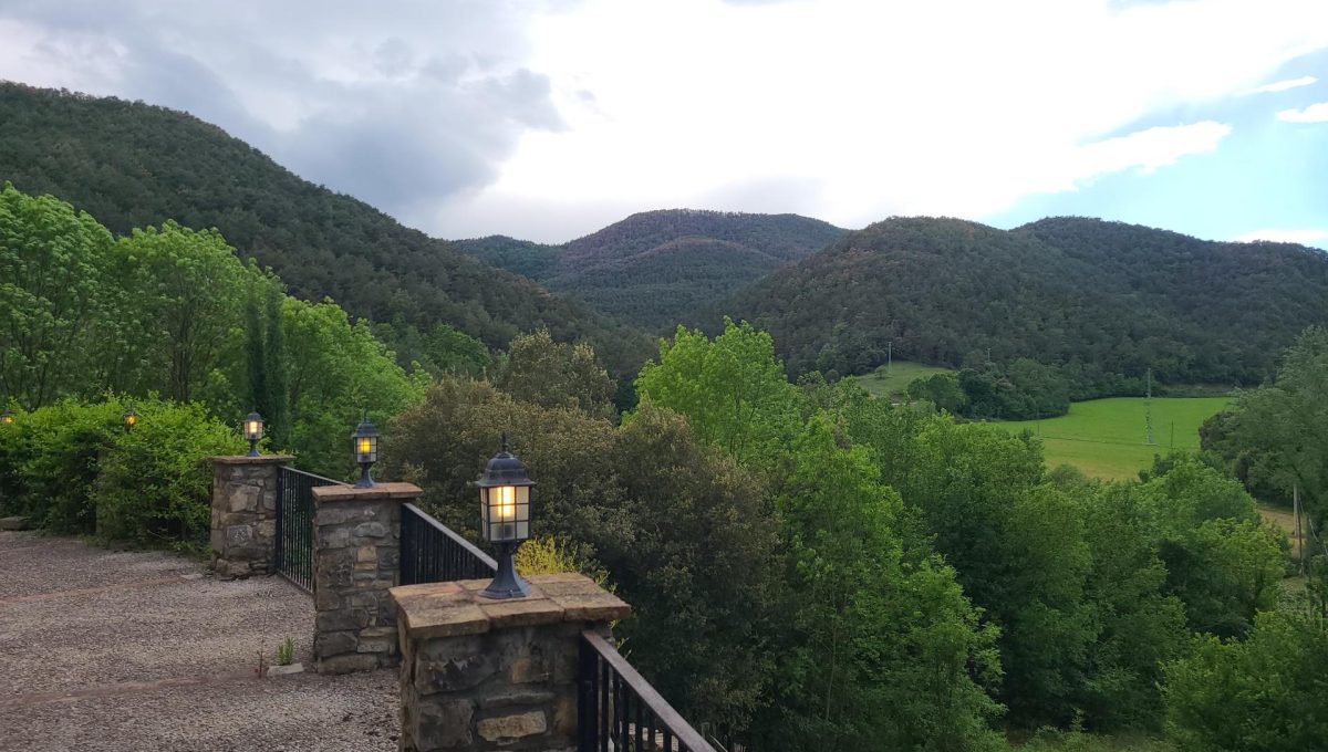 733404288_3b5a3467dc26911ca69c93e9592a7841