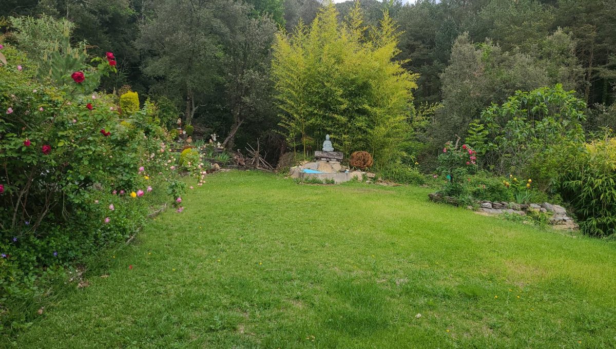 733404288_53b6e5ca4acf6b0697293c4ec331085c