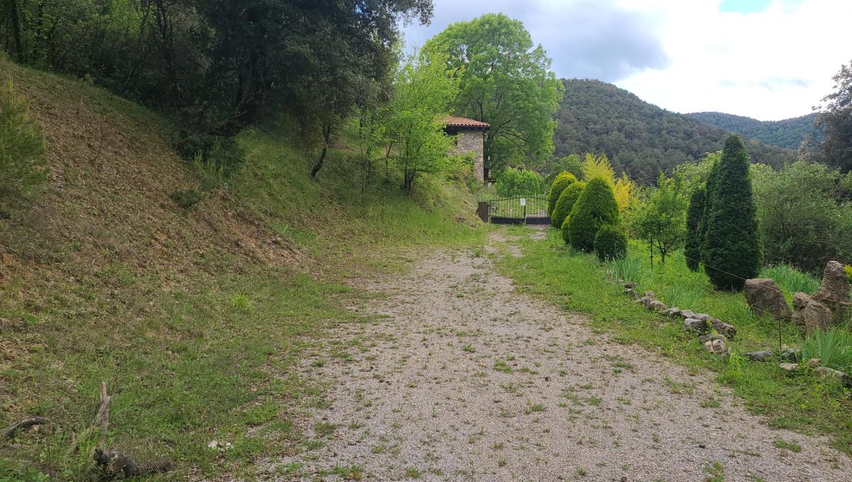 733404288_5ca55c740cf0d1ad2d74219b784ec9c4