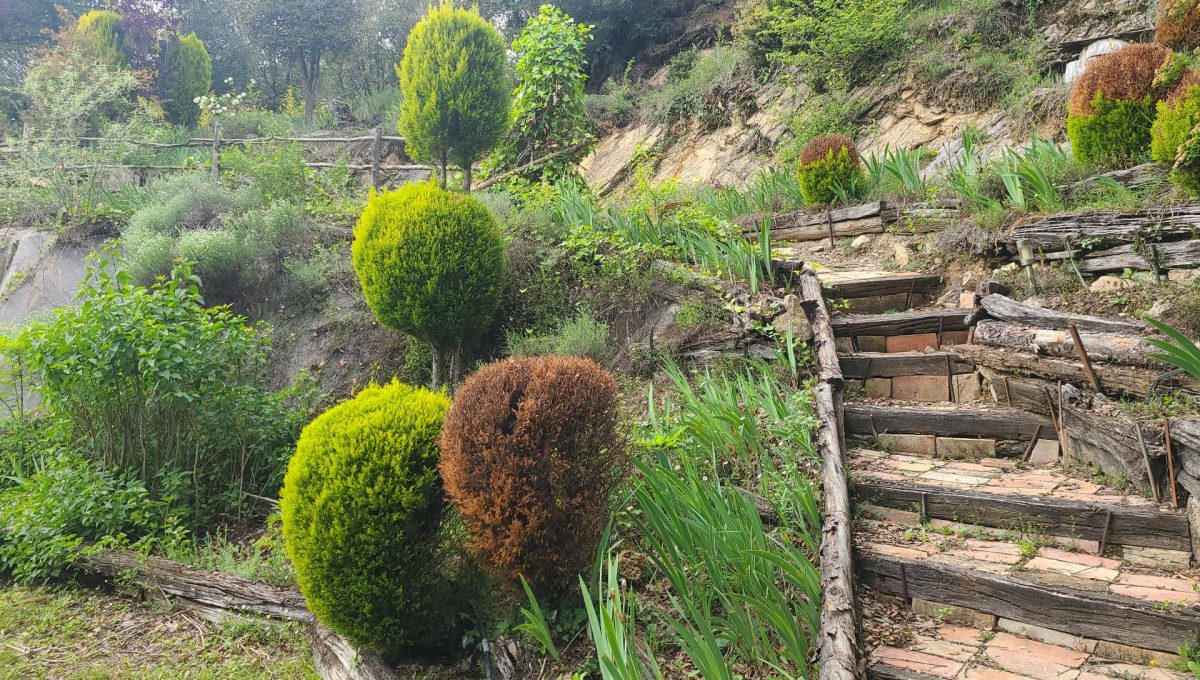 733404288_6e12222b1f8e4805e4120c3aaa72887c