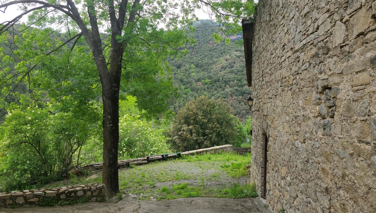 733404288_7e1b90f5f1f10f08c9773433a3c053fd