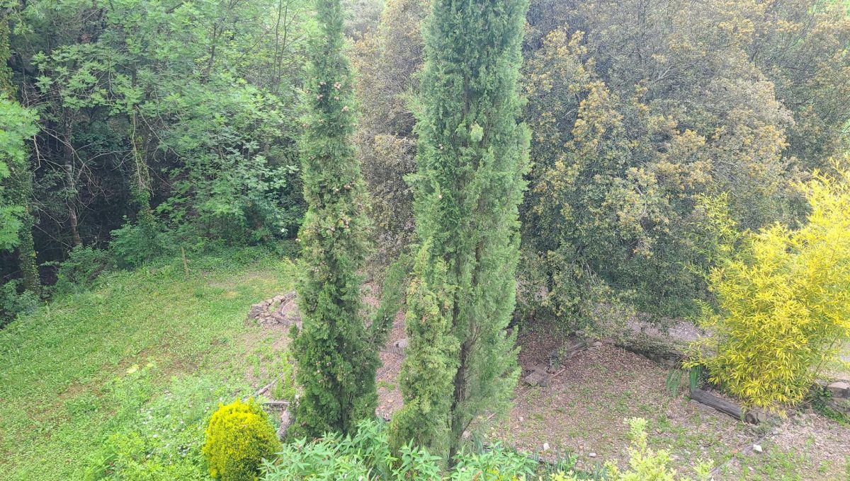 733404288_8c0517283f5ec198eafd7bf5f330a22d