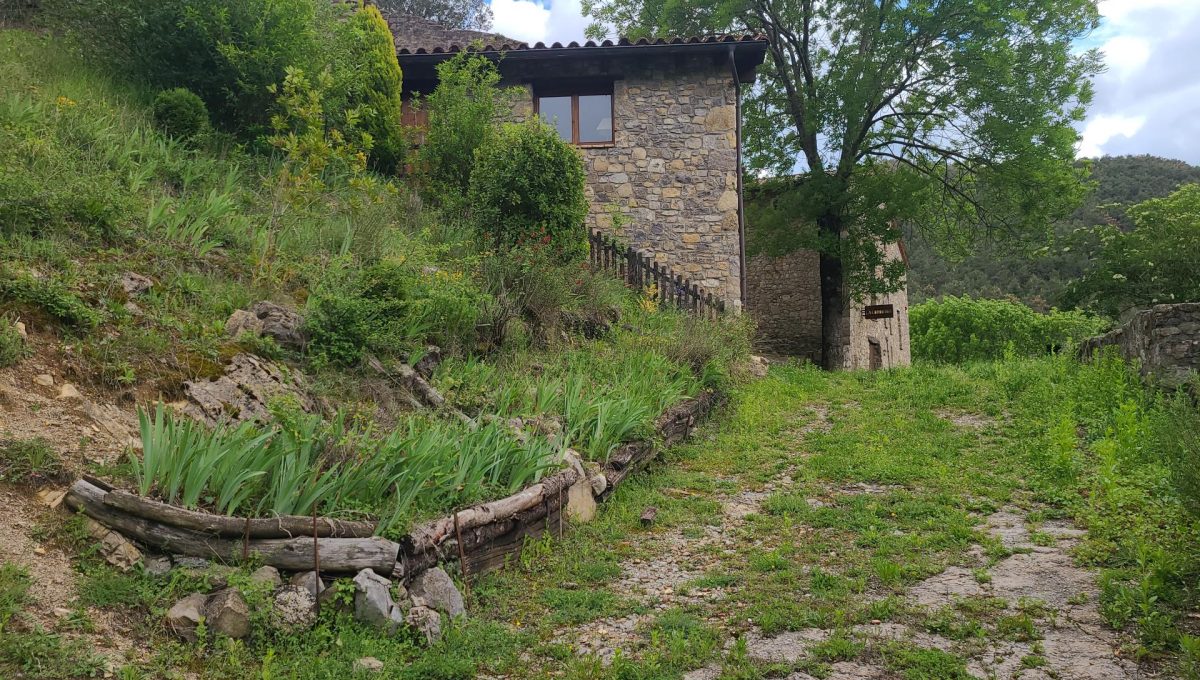 733404288_d28390176311de08b2e4e88136dcf918