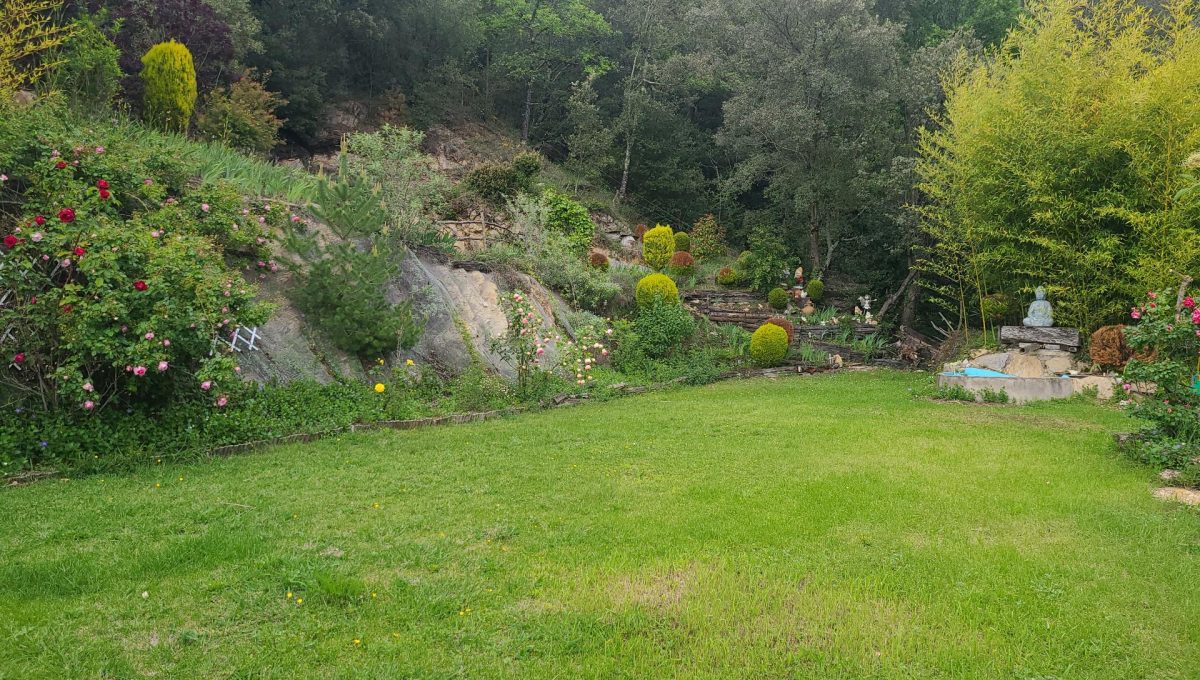 733404288_dcb0c24c8509265b175173e52d93a4a7