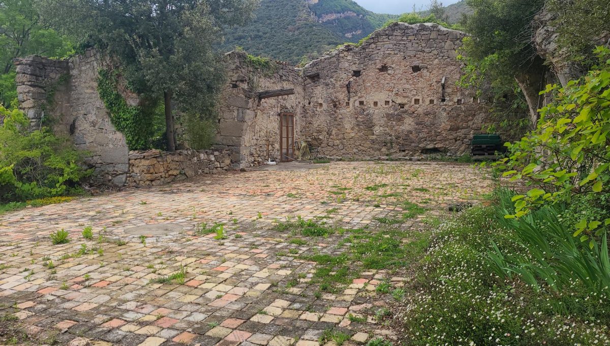 733404288_f578e8d8cca27e067eace63b8b666b9b