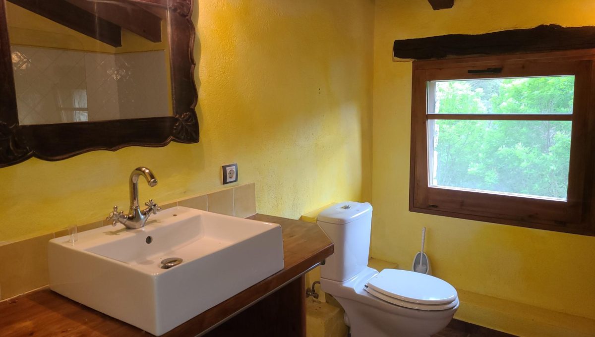 733404288_fce502faedeef424dd519b7e69f8e4c7