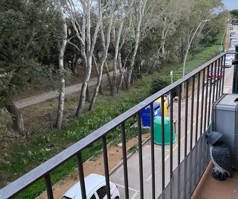 816985828_696fe0f699a1cf9feb74c826288c9da8