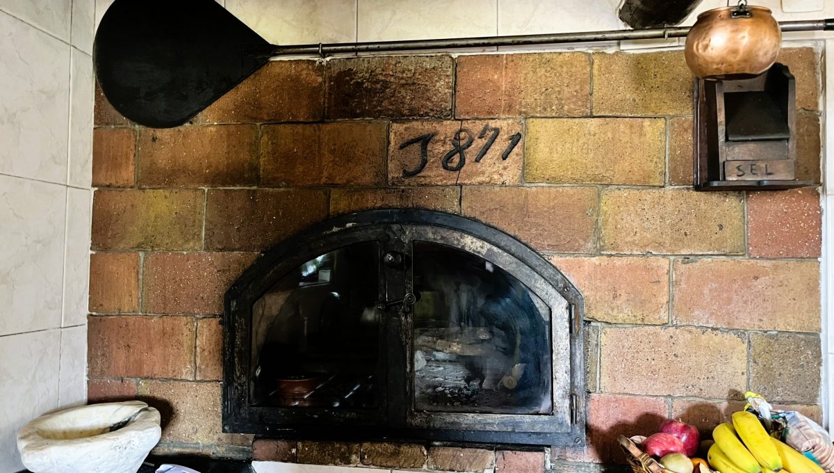 170996875_2b3271c781a5ab45abd147a6a6febcdc