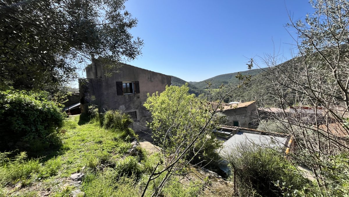 170996875_47cceddeb851ceebf46e4e5f65b42638