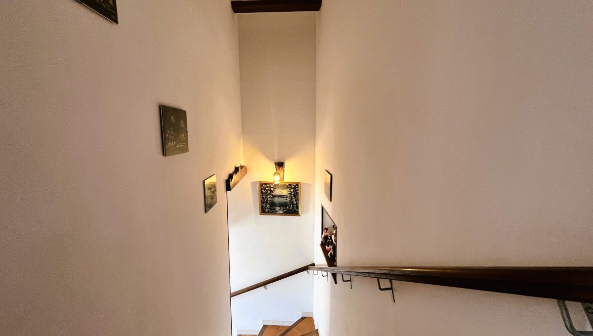 170996875_82b3402b03c2b930c72b1ee03f0b3f9f