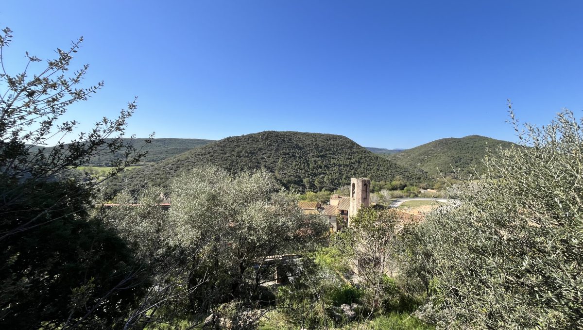 170996875_8850460cf48e115c6607b6ac9009fa74