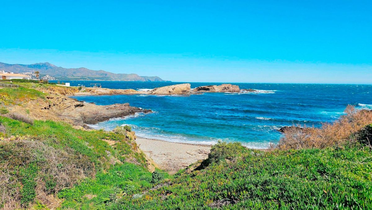 183958851_51809e5cfb35adb77d23ad97542e8eae