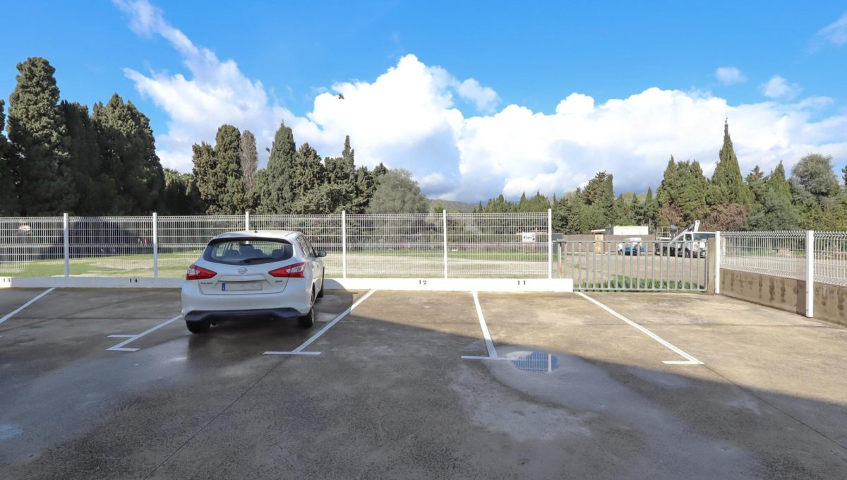 115115875_8987a0fad8a8f09fe691a01a1d84589f