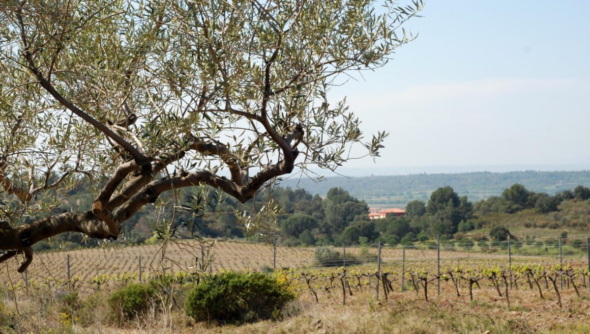 139842702_b25475181156114f65425e342e4b7c77